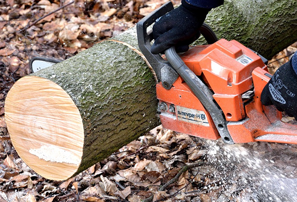 tronçonneuse en train de couper du bois